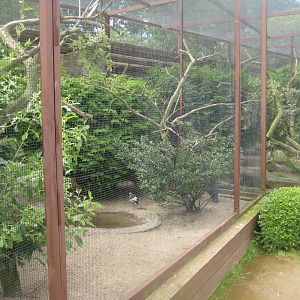 Vogelpark Niendorf - Mixed exotics #6