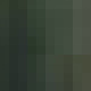 Tiger Catches Rabbit