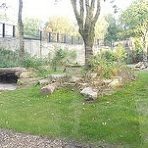 New enclosure for Amurtigers - 25.09.2017