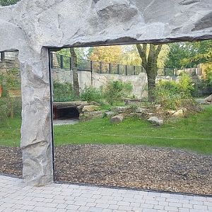 New enclosure for Amur tigers - 25.09.2017