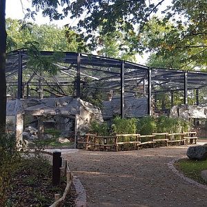 New enclosures for Persian leopards - 25.09.2017