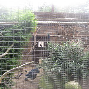 Vogelpark Niendorf - Mixed exotics #7