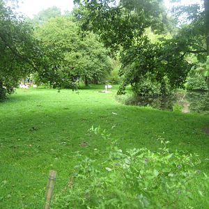 Vogelpark Niendorf - Lesser flamingo exhibit