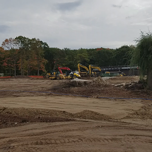 Clip - Future Elephant Exhibit