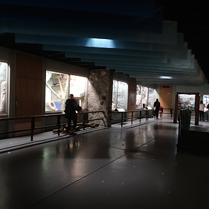 Oct. 2017 - Small Mammals