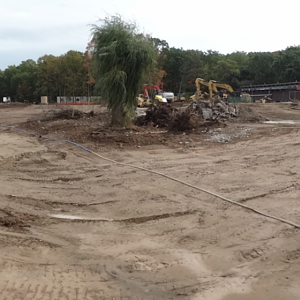 Oct. 2017 - Future Elephant Exhibit Panorama