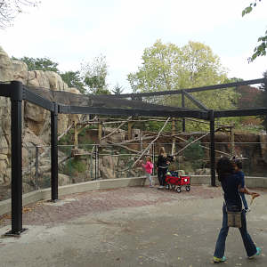 Oct. 2017 - Asia/Africa/South America - Renovated Red Panda Exhibit