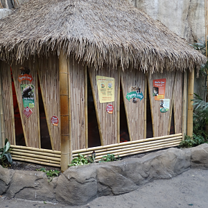 Oct. 2017 - Tropic World - Pygmy Slow Loris Exhibit