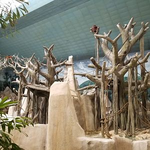 Oct. 2017 - Tropic World - Asia