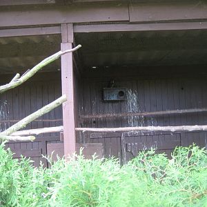 Vogelpark Niendorf - Little owl aviary