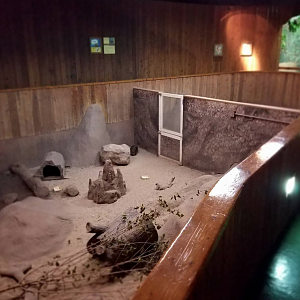 Oct. 2017 - Australia - Echidna Exhibits