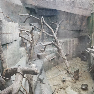 Oct. 2017 - Tropic World - Second Gorilla Exhibit