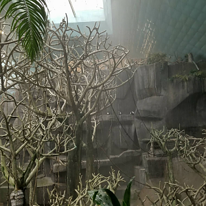 Oct. 2017 - Tropic World - Africa - Simulated Storm