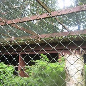 Vogelpark Niendorf - Pharaoh eagle owl aviary