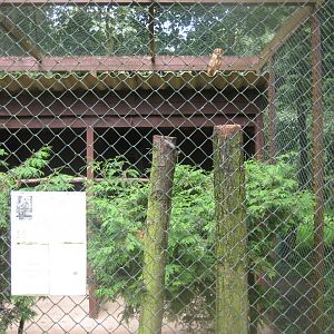 Vogelpark Niendorf - Tawny owl aviary