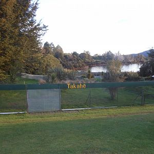 Takahe enclosure