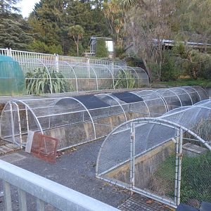 Brown Teal enclosure