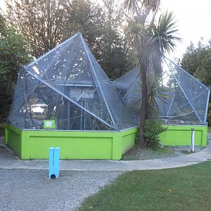 Antipodes Island Parakeet enclosure
