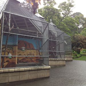 Budgerigar aviary, Napier Botanical Gardens