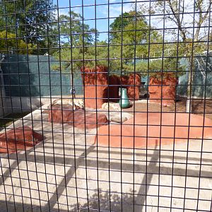 White Lion Exhibit, October 2017