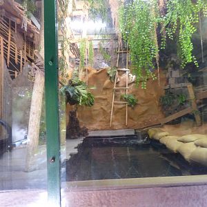Water Monitor Exhibit, October 2017