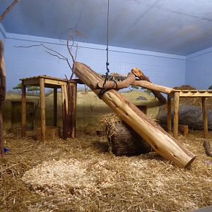 Serval Exhibit, October 2017