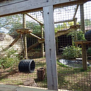 Red Panda Exhibit, October 2017