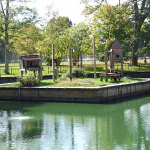 Lemur Exhibit, October 2017