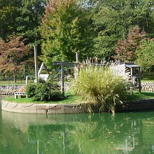 Lemur Exhibit, October 2017