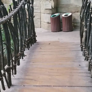 Clip - Welcome... to Tropic World