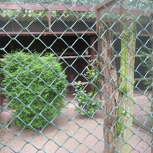 Vogelpark Niendorf - Tawny owl aviary