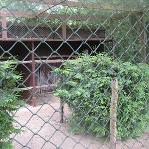 Vogelpark Niendorf - Great grey owl aviary