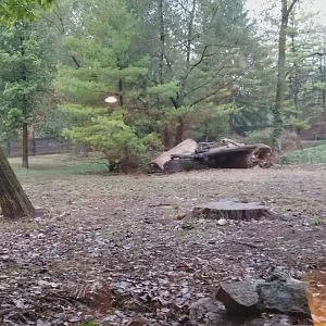 Clip - Mexican Wolf Exhibit