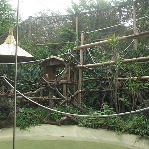 Proboscis monkey exhibit