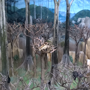 Zoom In/Zoom Out - Tropic World Clip