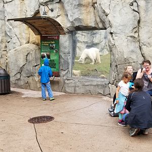 Oct. 2017 - Great Bear Wilderness - Polar Bear