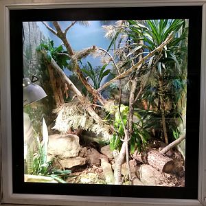 Oct. 2017 - Reptiles and Birds - Beaded Lizard Exhibit