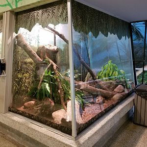 Oct. 2017 - Reptiles and Birds - African Rock Python Exhibit