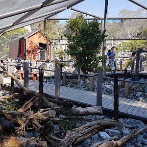 Kea walk-through aviary