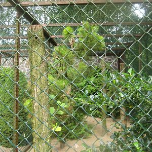 Vogelpark Niendorf - Mixed forest owl aviary