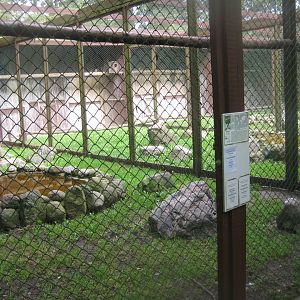 Vogelpark Niendorf - Condor aviary #1