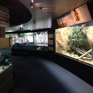 Reptile exhibits
