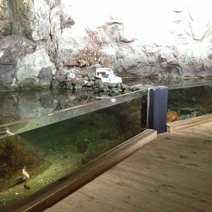 Rocky Shore tank (unsigned)