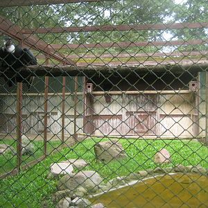 Vogelpark Niendorf - Condor aviary #2