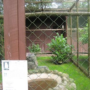 Vogelpark Niendorf - Siberian eagle owl aviary