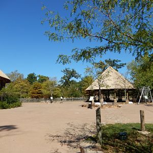 9/29/2017 - Africa! Village