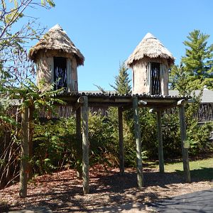 9/29/2017 - Sleeping Platform Huts