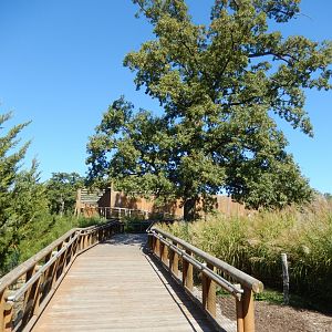 9/29/2017 - Wooden Ramp