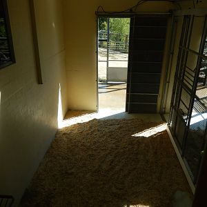 9/29/2017 - Giraffe Stall