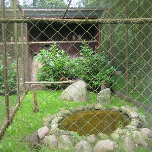 Vogelpark Niendorf - Eurasian eagle owl aviary